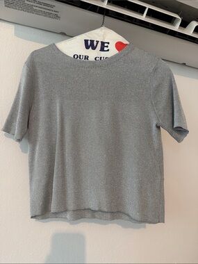 Zara Silver Shimmer Short Sleeve Top